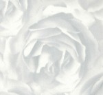 ТМ-433 Роза белая
