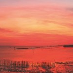 Beautiful panorama of sunset in the sea