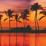 Travel banner - Beach paradise sunset palm trees