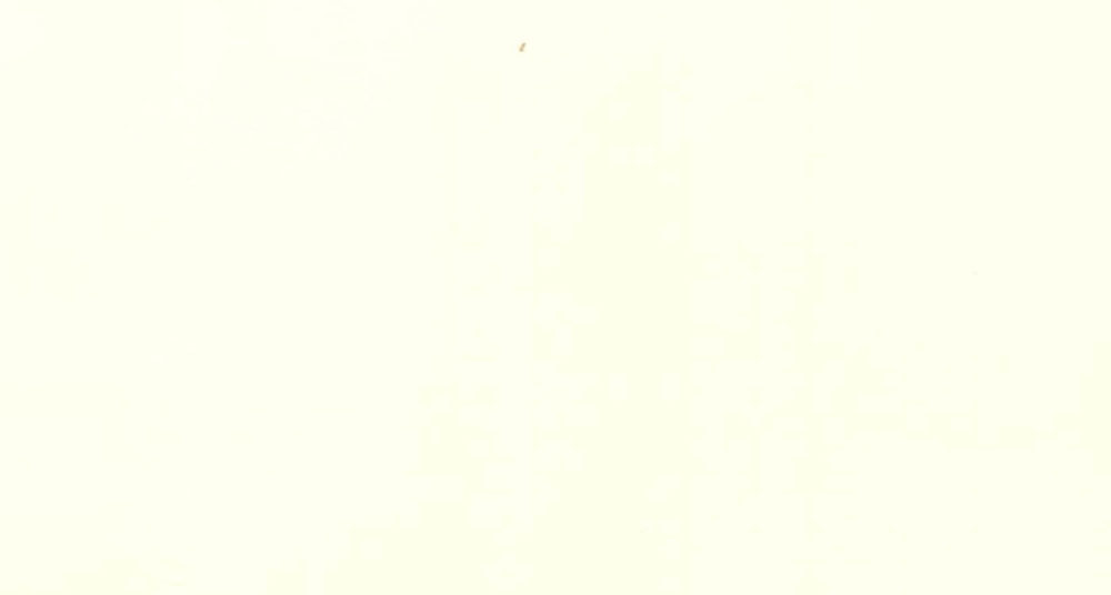 Авори нубук  AS 1802-SFT